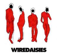 Wire Daisies - Wire Daisies