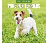 Wire Fox Terriers - 2027 Square Wall Calendar - by Red Robin Publishing