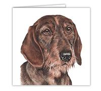 Wire Haired Dachshund Art Card/Greetings Card (AC-159)