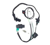 Wire Harness Ignition Coil CDI Kill Motorcycle Stator Accessories Magnetic For 160cc Bike ATV