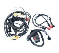 Wire Harness Set JS250 For 250 ATV250 For 250 Wiring Harness Line SSM5-320000-0