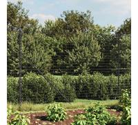 Wire Mesh Fence Anthracite 1.4x10m Galvanised Steel PVC Coated with Posts Spikes