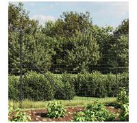 Wire Mesh Fence Anthracite 1.6 x 10 m Galvanised Steel PVC-Coated Spike Anchors