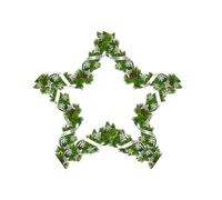Wire Wreath Frame | Star Heart Round Green Metal Floral Hoop - Creative Wreath Making Supply, Iron Art Flower Wreath Rings For Doors, Walls, Patios, Garden
