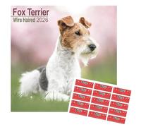 Wirehaired Fox Terrier Calendar 2026 with Organisational Stickers | Square Dog Breed Calendar 2026 | 16 Month Square Dog Breed