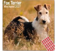 Wirehaired Fox Terrier Calendar 2026 with Organisational Stickers | Square Dog Breed Calendar 2026 | 16 Month Square Dog Breed, Wirehaired Fox Terrier Gift
