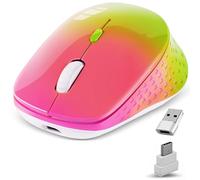 Wireless Computer Mouse with Nano 2.4G/USB-C 2in1 Dual Receiver,Silent Rechargeable,Ergonomic Right Hand Mice 1600DPI for Type C and USB Port Devices/Computer Desktop PC Laptop Mac iPad Phone Surface
