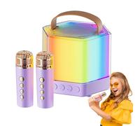 Wireless Karaoke Machine - Speaker | Portable Stereo Audio System | with Two Microphones & Lights, Compact Speakers for Meetings, Dan Barbecues