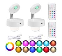 Wireless LED Spotlight Indoor with Remote: Rechargeable Mini Spot Lights for Picture Art Display Plants Lighting - Small Spotlights for Wall Ceiling Decorative (2 Pack)