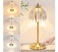 Wireless LED Table Lamp Dimmable Touch Control 5000mAh Rechargeable ge Nightstand Light for Bedroom Living Room Restaurant Bar (Transparent)