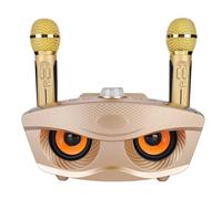 Wireless Mic Karaoke Machine, Speaker Home KTV Karaoke Speaker with Two Microphone for Conference, Karaoke, Recording, Evening Party (Gold)