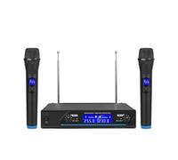 Wireless Microphone Professional 2 Channels Handheld Karaoke Mic For Party Meeting Church Show Home