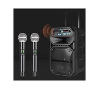 Wireless Microphone Professional UHF Recording Karaoke Handheld 1 Channel Lithium Battery for Stage Church Party School