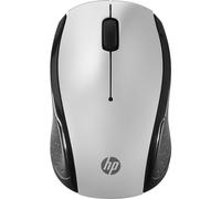 Wireless Mouse 200 Pike Silver