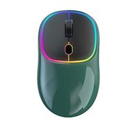 Wireless Mouse Computer Mouse for Laptop Usb Gaming Mouse Bluetooth Ergonomic Mice Pointing Device Photoelectric Type-c Rechargeable 2.4GHz Four-way Roller Colorful Cycle Light (112x67x34mm,Green)