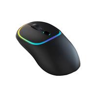 Wireless Mouse Computer Mouse for Laptop Usb Gaming Mouse Bluetooth Ergonomic Mice Pointing Device Photoelectric Type-c Rechargeable 2.4GHz Four-way Roller Colorful Cycle Light (112x67x34mm,black)
