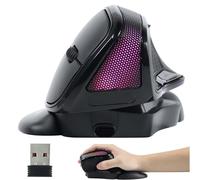 Wireless Mouse, Ergonomic Vertical Rechargeable High Precision 2.4G Wireless Optical Silent Mouse with Removable Wrist Rest 6 Buttons RGB Lighting 5 Levels for PCs, Laptops, MacBook