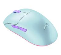 Wireless Mouse Rechargeable Gaming for Laptop Light Weight Ergonomic Quiet