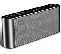 Wireless Portable Speaker Bluetooth Speaker Dual Drivers MP3 Players FM Radio Stereo With HD Sound,Built-in Microphone,High Definition Audio And Enhanced Bass,Grey