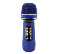 Wireless rophones - Portable Handheld Speaker - Party Supplies -1 Wireless rophone with LED Lights for Family Gathering