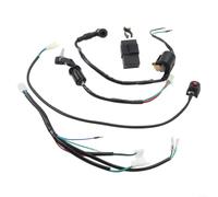 Wiring Harness for cdi Ignition Kit for 50cc 70cc 90cc for atv | Fits for 50cc to 125cc engines, includes for cdi and ignition coil, plastic housing, for atv for quad compatible