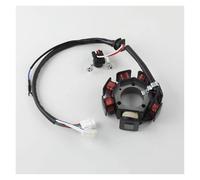 Wiring Loom CDI Ignition Coil Motorcycle Accessories Stator Coil Magnetic Motor Ignition Coils 7 Or 8 Pole For YBR125 YB125 YBR 125 YB XTZ125 XT125 R X(Euro II(8 Pole coil))