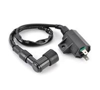 Wiring Loom CDI Ignition Coil Motorcycle Ignition Coil Assy For For KLF220 KLF220A KLF250 KLF250A KLF400 KLF400B Bayou 220 250 400 21121-1160 21121-1198