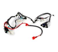 Wiring Loom compatible with Lexmoto Assault 125 EFI HJ125-J-E4/Isca 125 SK125-L, compatible with Zontes Firefly 125 FIREFLY