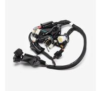 Wiring Loom compatible with Talaria Sting Offroad TL3000
