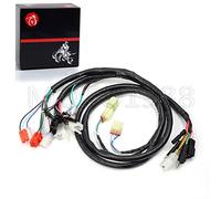 Wiring Wire Harness Compatible with Honda FourTrax 300 TRX300 2x4 TRX300FW 4X4 1994 1995 1996 1997-A 32100-HM5-670