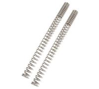 Wirth Federn Wirth progressiv fork springs