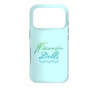 Wisconsin Dells Typographic River Design Case for iPhone 17 Pro