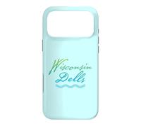 Wisconsin Dells Typographic River Design Case for iPhone 17 Pro Max