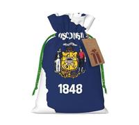 Wisconsin State Flag Map Print Drawstring Bags,Snack Bags,Storage Bags For Gift Wrapping,Party Decorations