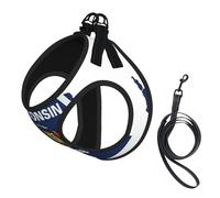 Wisconsin State Flag Map Print Small Dog Harness And Leash Set, Adjustable Soft Vest With 360° Reflective Straps For Cats Puppy