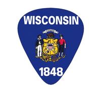 Wisconsin State Flag print Celluloid Guitar Plectrums for Acoustic Guitar Bass,Guitar Picks with Organizer Box