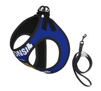 Wisconsin State Flag Print Step in Dog Harness and Leash Set,Adjustable Reflective Harness for Small Dogs Cats