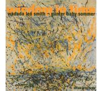 Wisdom in Time by Wadada Leo Smith & Gunter Baby Sommer (2007-12-18)