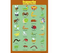 Wisdom Learning Learn Insects Wall Chart Educational Toddlers Kids Childs Poster Art Print WallChart