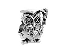 Wisdom Owl with Graduation Cap Charm fits Pandora Charms Bracelets Birthday Jewellery Gift for Daughter Women Philosophy Law Attorneys Family