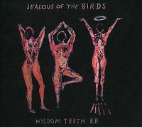Jealous Of The Birds - Wisdom Teeth