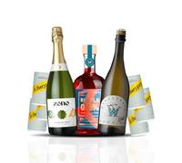 Wise Bartender - Alcohol-Free Hosting Collection (0.5% ABV)
