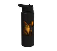 Wise Frog Wizard Toad Sorcerer Magic Amphibian Stainless Steel Insulated Water Bottle