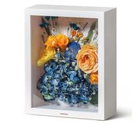 Wisedry 3D Shadow Box 10 x 8 Inch Picture Frame Deep Box Display Photo Frames for Dried Flowers Shadow Box ,Crafts, Anniversary, Wedding, Graduation