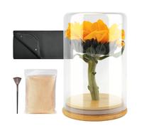 wisedry Flower Preservation Kit, Flower Drying Kit with Silica Gel Crystals, Flower Preservation Jar, Bridal Bouquet Preservation Kit