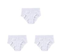 WISEHUBY Silky Plus Size Lace Women'S Panties Xl-4Xl Breathable Comfortable Ladies Underwear Seamless Soft Underpant 3Pcs -S45-3Baise-2Xl 95-110Kg