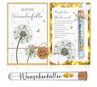 Wish Fulfiller Money Gift Packaging Gift Box with Greeting Card & Test Tube & LED Fairy Lights etc., Funny Gifts for Women Girlfriend - Christmas Birthday Wedding Travel