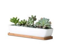 WISH HALLY WOOD 11inch Long Rectangle White Ceramic Succulent Planter Pots/Mini Flower Plant Containers with Bamboo Saucers. Product Size:11x2.36x1.77inch,not Include The Plant. (Long Rectangle)