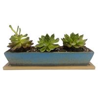 WISH HALLY WOOD 9.8 inch blue long rectangle Ceramic Succulent Planter Pot,one set of Mini Flower Plant Container with Bamboo Saucers. Product size:9.8 x2.35x1.77 inch,not include The plant. (Blue)