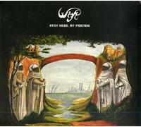 Wish - Stay Here My Friends